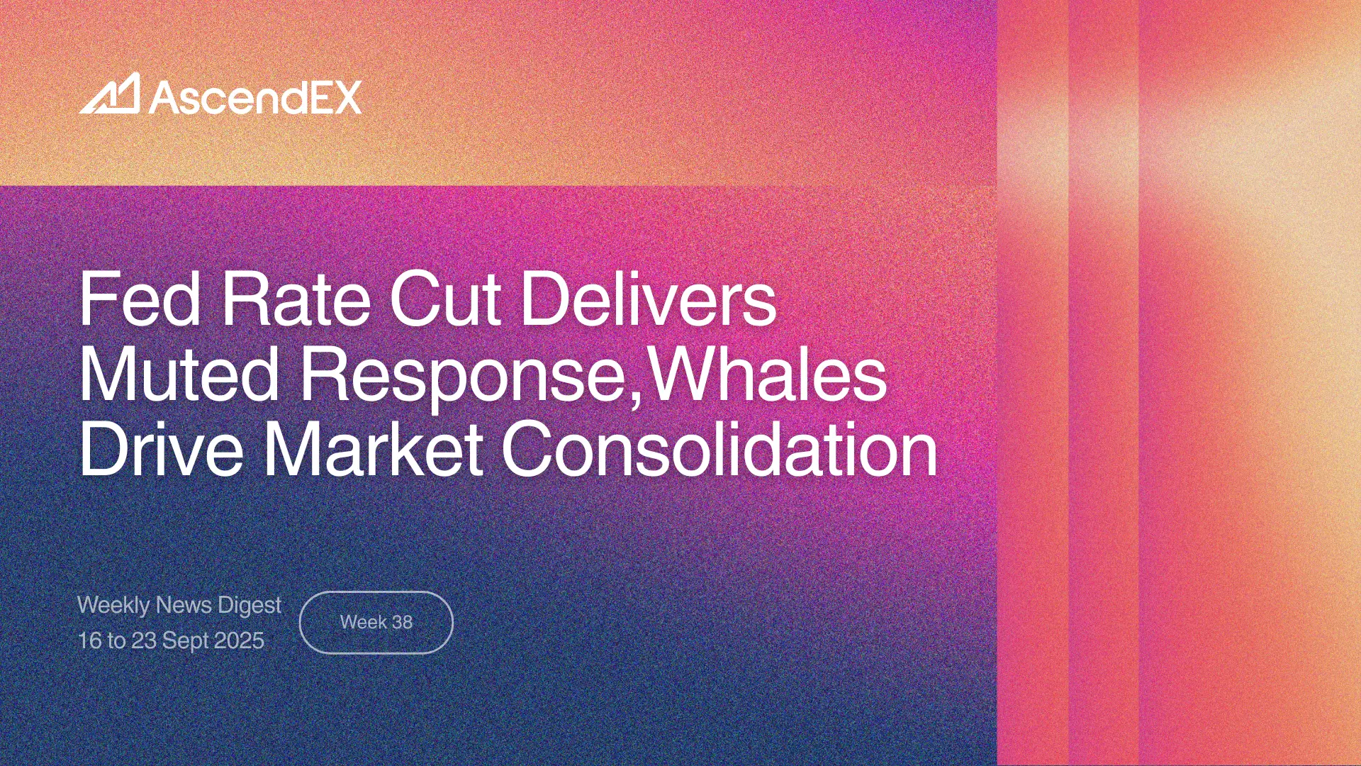 Rate Cut Delivers Muted Response; Whales Drives Market Consolidation